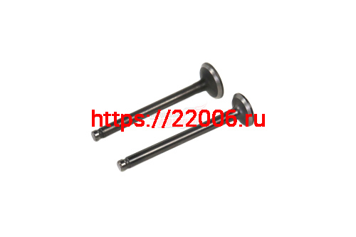Клапаны (впуск/выпуск) 139QMB 50см3 (d18,5/16 l-64) Клапаны (впуск/выпуск) 139QMB 50см3 (d18,5/16 l-64)