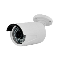 DVI-S125 POE LV v2.0 OEM видеокамера IP