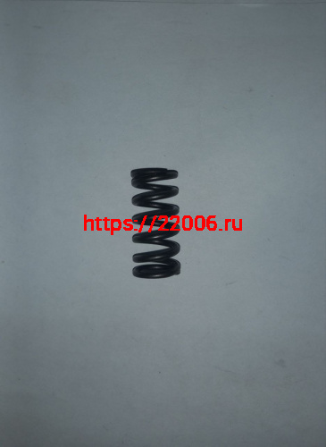 Пружина сцепления ZS169FMM, ZS172FMM-5